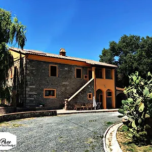 Podere La Pace Bed & Breakfast Vada